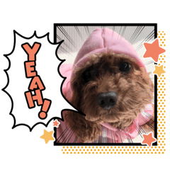 [LINEスタンプ] 4匹の湘南ボーイ2