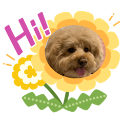 [LINEスタンプ] レオくん☆part2