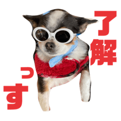 [LINEスタンプ] あられ様様