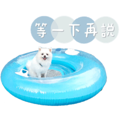 [LINEスタンプ] ハメロン、日常