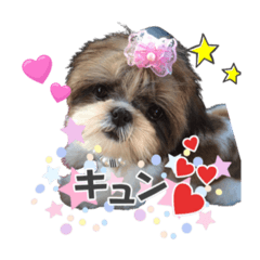 [LINEスタンプ] おうちのわんこシリーズ★2️⃣