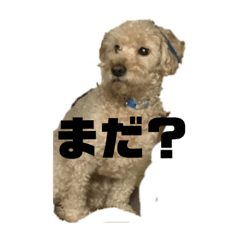 [LINEスタンプ] モコモコですが何か2