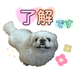 [LINEスタンプ] けだまひじきトラ