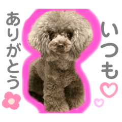[LINEスタンプ] 佐藤・紀平