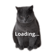 [LINEスタンプ] ボニ