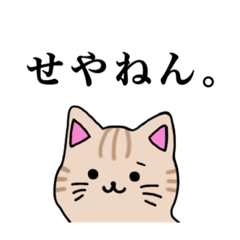 [LINEスタンプ] 南大阪のとらおスタンプ