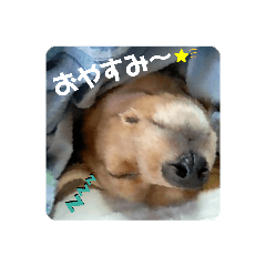 [LINEスタンプ] いろいろ、、