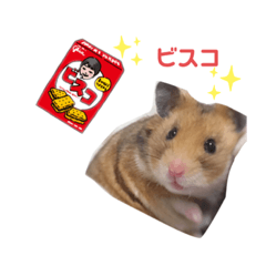 [LINEスタンプ] 私が言いそうなこと代わりに言ってもらった