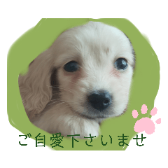 [LINEスタンプ] マロンくん癒しの日常スタンプ