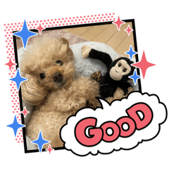 [LINEスタンプ] ほたちゃんスタンプ4th