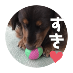[LINEスタンプ] ミニチュアダックスのスタンプ。