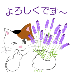 [LINEスタンプ] 花と猫の感謝のきもちの画像（メイン）