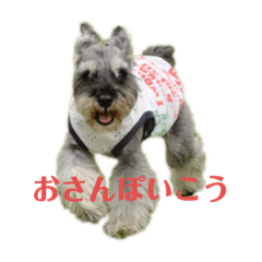 [LINEスタンプ] こむぎさんちのなかまたち