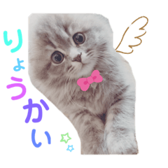 [LINEスタンプ] かまぞう。