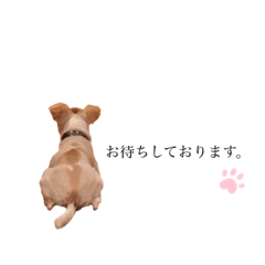 [LINEスタンプ] ウチの子スタイル④