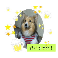 [LINEスタンプ] 翔太くん！ワン！
