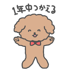 [LINEスタンプ] もこもこトイプードル【ぽこ】挨拶スタンプ