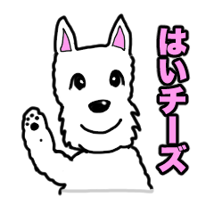 [LINEスタンプ] グッドガール チーズ