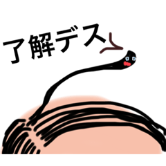 [LINEスタンプ] 可愛いってなに？？スタンプ