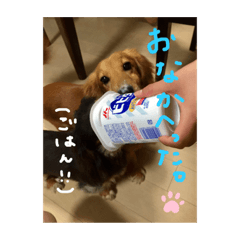 [LINEスタンプ] ちょこたるとの生活2