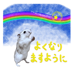 [LINEスタンプ] ジャンハム むくげのスタンプ