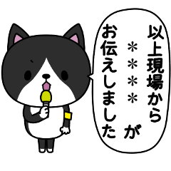 [LINEスタンプ] 猫の子カスタム(黒色ハチワレ)の画像（メイン）