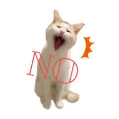 [LINEスタンプ] リリ様スタンプ