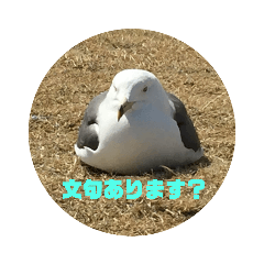 [LINEスタンプ] 数のりんご
