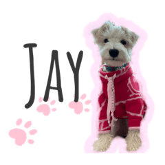[LINEスタンプ] JAY #1