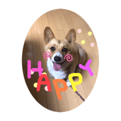 [LINEスタンプ] ぽっちゃりめいちゃん1