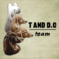 [LINEスタンプ] team T and D.C