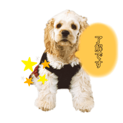 [LINEスタンプ] ばびんこスタンプ