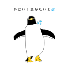 [LINEスタンプ] ペンギンだよ！！