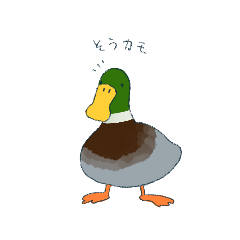 [LINEスタンプ] 素直な鴨くん