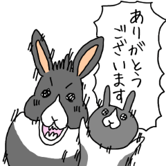 [LINEスタンプ] うさぎのよさ〜ハチワレ式〜