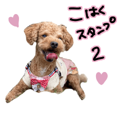 [LINEスタンプ] 琥珀すたんぷ2