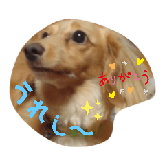[LINEスタンプ] ぴーすたんぷー2