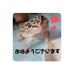 [LINEスタンプ] animal1