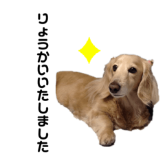 [LINEスタンプ] my Grace