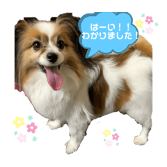 [LINEスタンプ] パスカルくん 2