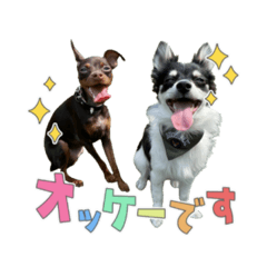 [LINEスタンプ] たな家1