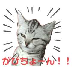 [LINEスタンプ] ちくわ生活③