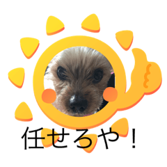 [LINEスタンプ] ささやんちのアンドリュー❤️