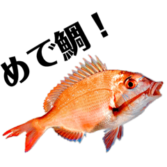 [LINEスタンプ] 釣り人 STAMP
