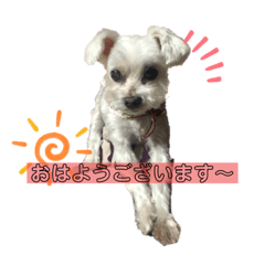 [LINEスタンプ] むーちゃんこじちゃん#1