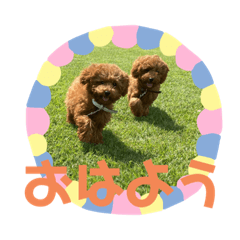 [LINEスタンプ] ユメ＆ソラ(467)