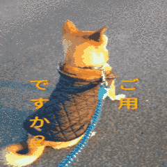 [LINEスタンプ] 動く雑種犬カイの日常