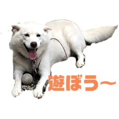 [LINEスタンプ] モコ家 3