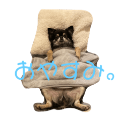 [LINEスタンプ] おしぇちゃん