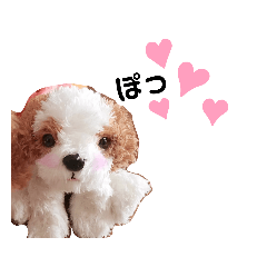 [LINEスタンプ] きゅんまる100％ vol.2
